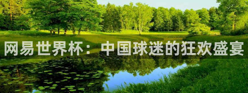 世界杯足球2026:网易世界杯:中国球迷的狂欢盛宴