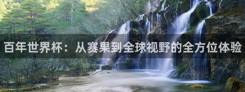世界杯在线直播:百年世界杯:从赛果到全球视野的全方位体验