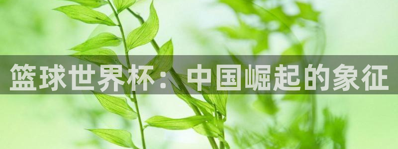 世界杯球队:篮球世界杯:中国崛起的象征