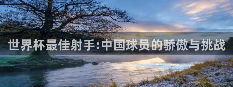 世界杯亚洲区预选赛:世界杯最佳射手:中国球员的骄傲与挑战