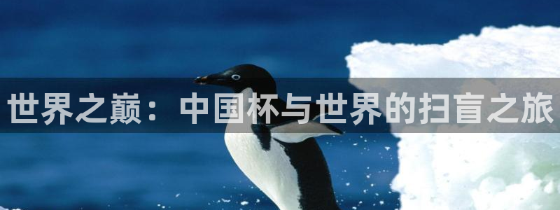 世界杯葡萄牙赛程:世界之巅:中国杯与世界的扫盲之旅