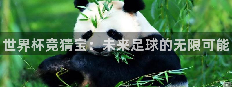 世界杯欧洲预选赛赛程:世界杯竞猜宝:未来足球的无限可能