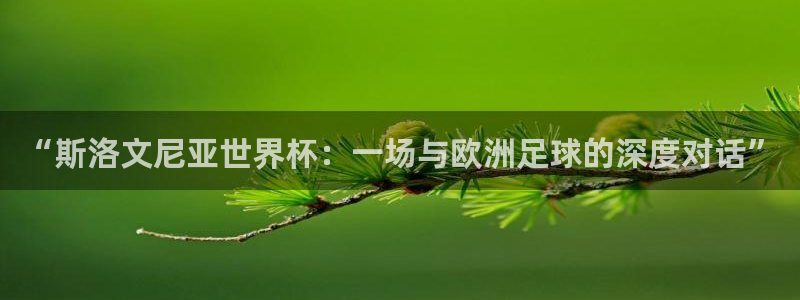 世界杯赛程表2026:“斯洛文尼亚世界杯:一场与欧洲足球的深度对话”