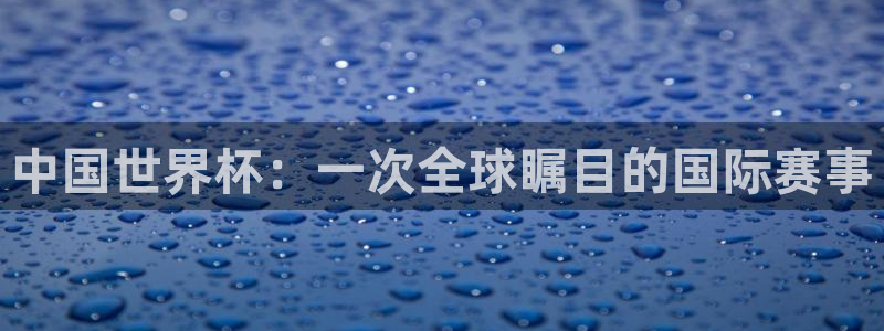 2026世界杯南美区积分榜:中国世界杯:一次全球瞩目的国际赛事