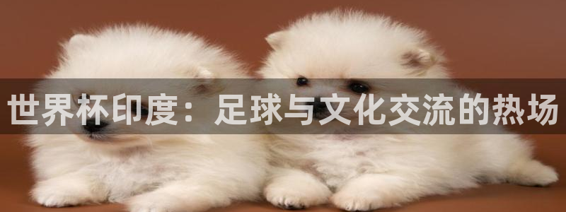 世界杯预选赛欧洲赛区积分榜:世界杯印度:足球与文化交流的热场