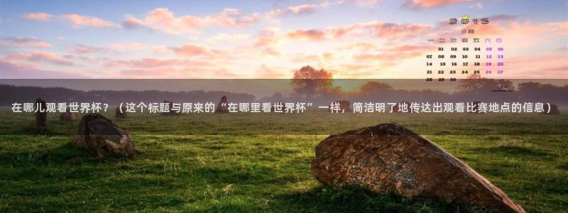 2006年世界杯冠军:在哪儿观看世界杯?(这个标题与原来的“在哪里看世界杯”一样,简洁明了地传达出观看比赛地点的信息)